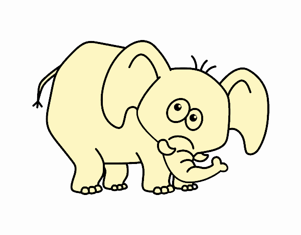 Elefante vergonzoso