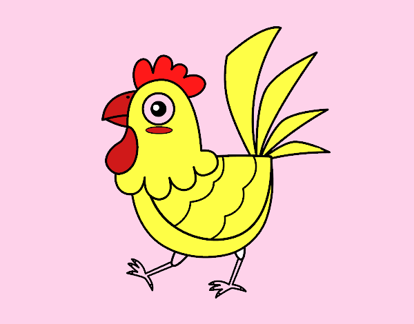 Gallina de granja