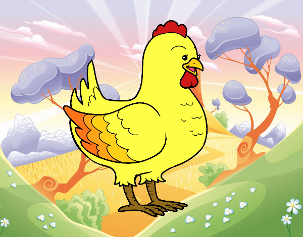 Gallina de una granja