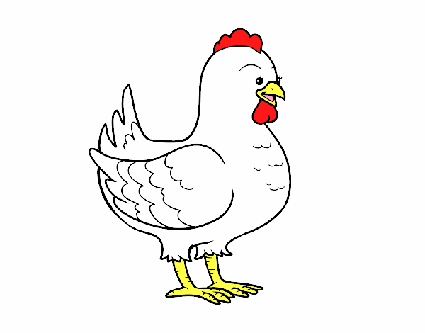 Gallina de una granja