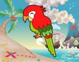 Guacamayo