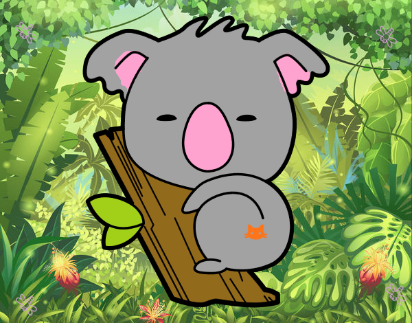 Koala bebé