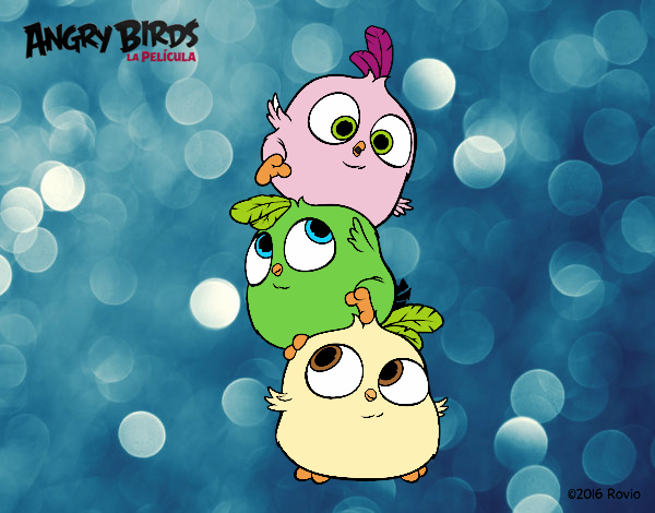 Las crias de Angry Birds