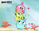 Las crias de Angry Birds