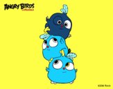 Las crias de Angry Birds