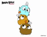 Dibujo Las crias de Angry Birds pintado por pollitosre
