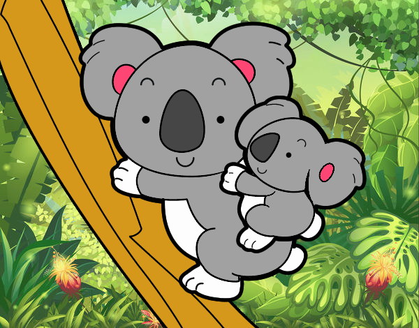 koala y su hijo koala