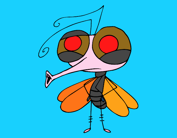 Mosquito común