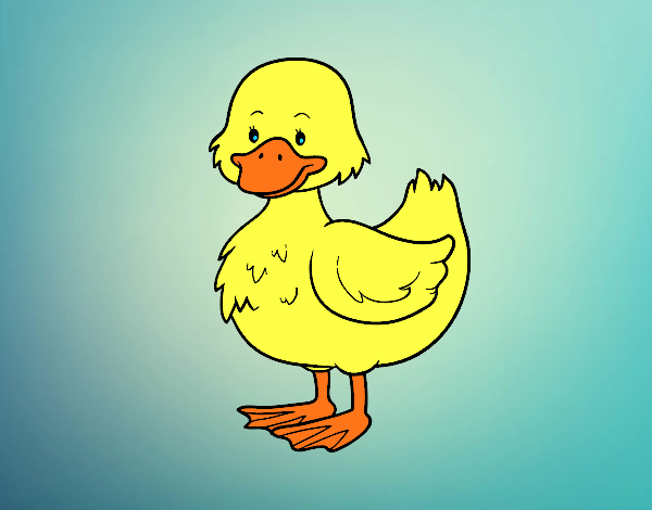 Patito de granja