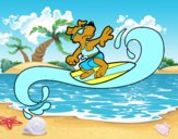 Perro surfeando