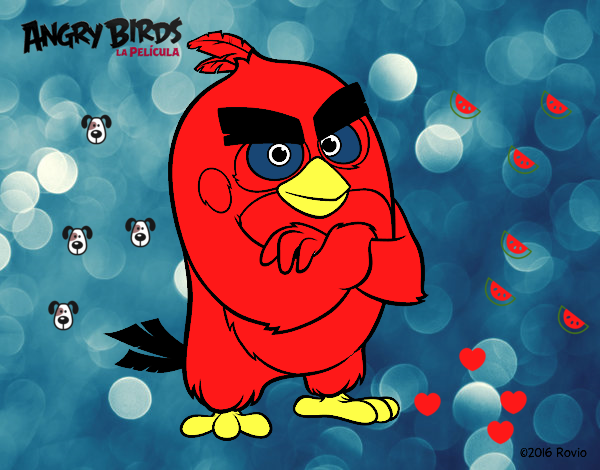 Red de Angry Birds