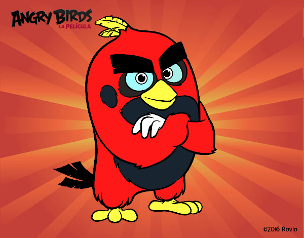 Red de Angry Birds