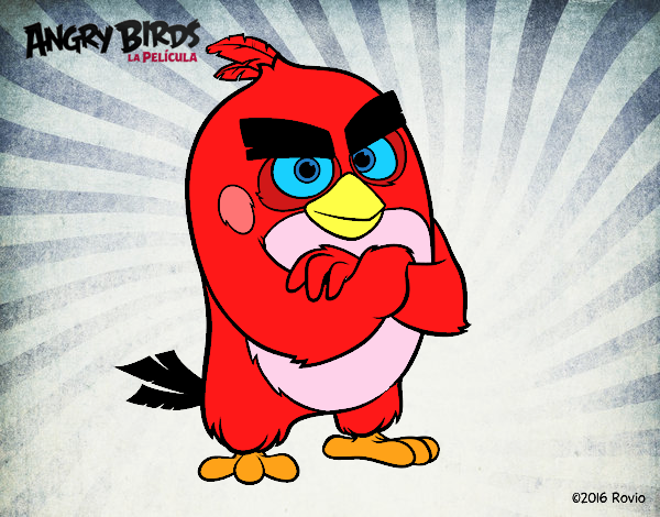 Red de Angry Birds