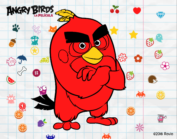 Red de Angry Birds