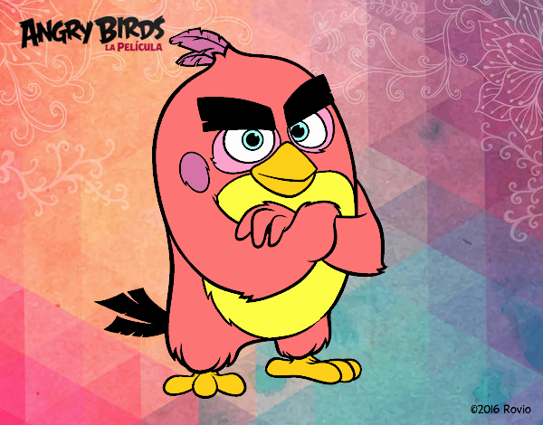 Red Angry Birds