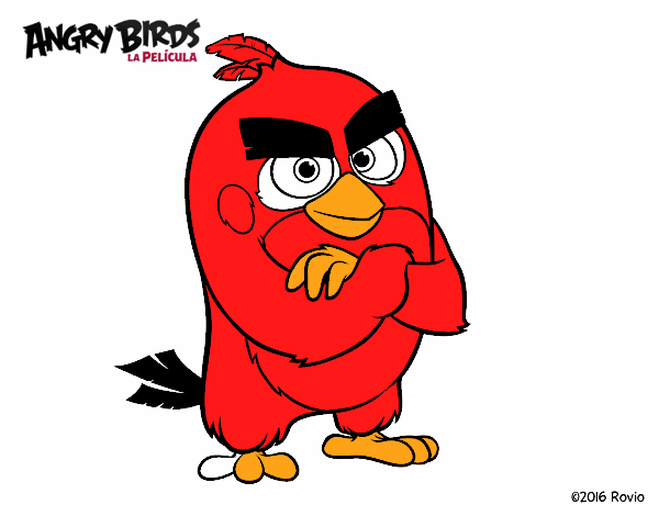 Red de Angry Birds