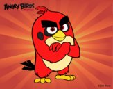 Red de Angry Birds