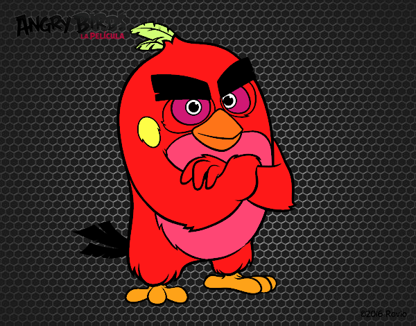 red e angry birds