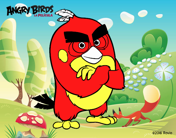 Red de Angry Birds