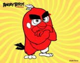 Red de Angry Birds