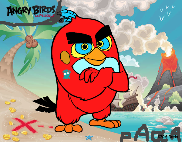 Red de Angry Birds