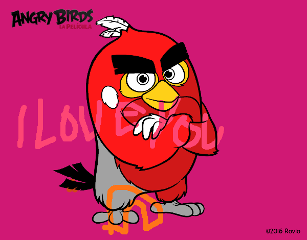 Red de Angry Birds