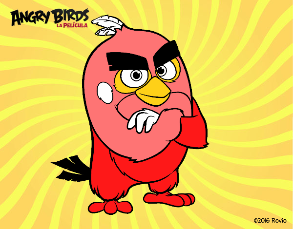 Red de Angry Birds