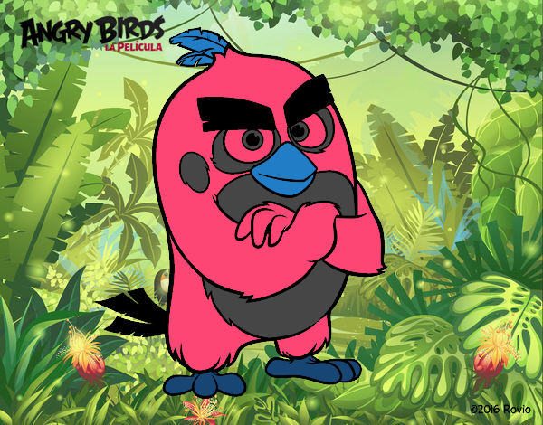 Red de Angry Birds