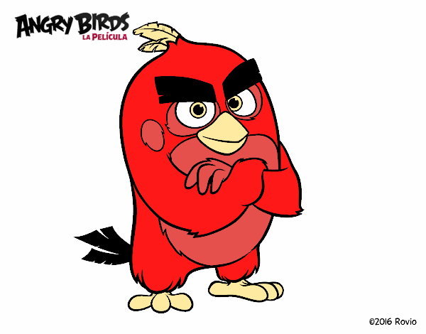 Red de Angry Birds