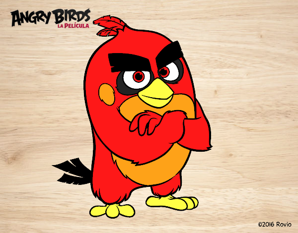 Red de Angry Birds