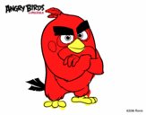 Red de Angry Birds