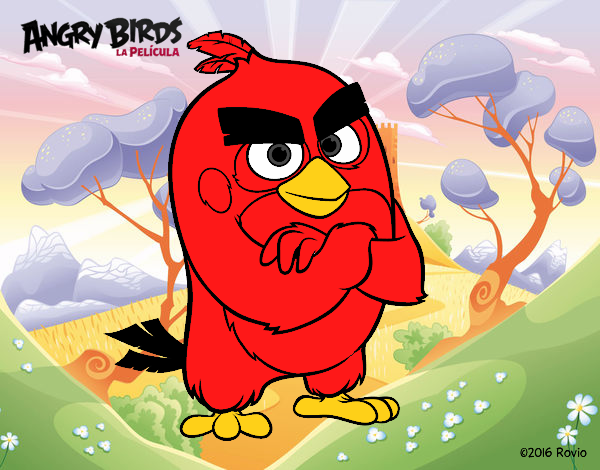 Red de Angry Birds