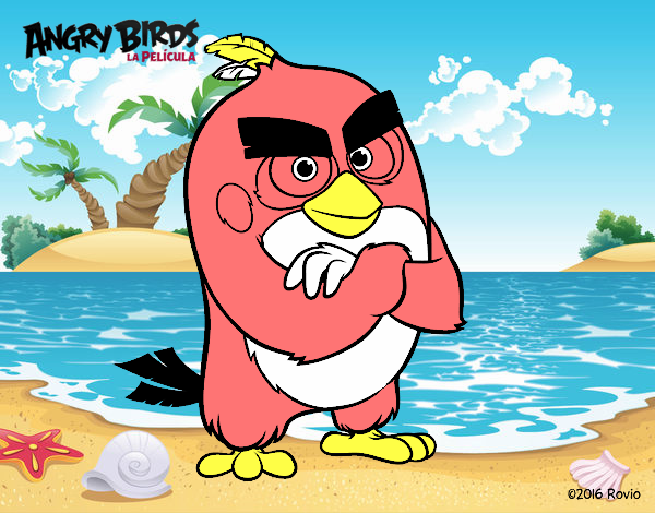 Red de Angry Birds