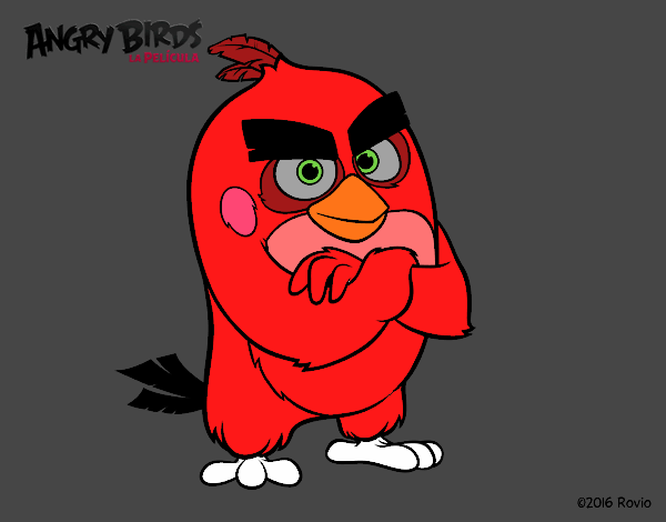 Red de Angry Birds