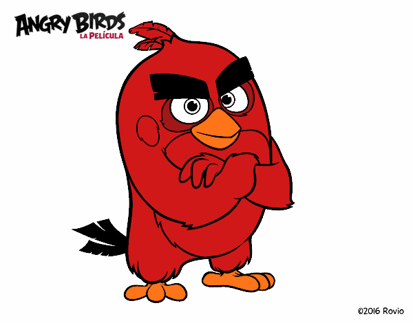 Red de Angry Birds