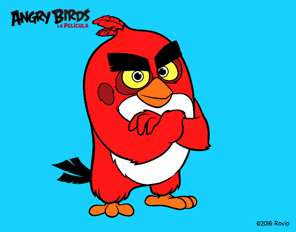 Red de Angry Birds