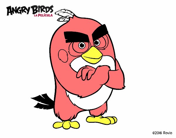 Red de Angry Birds