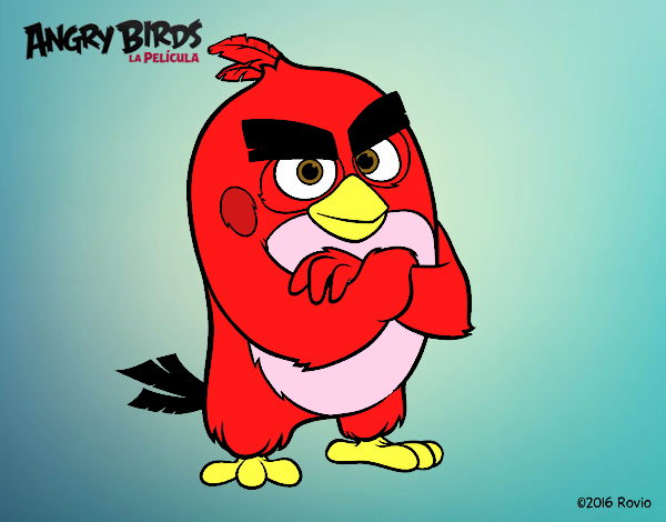 Red de Angry Birds