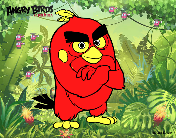 Red de Angry Birds