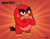 Dibujo Red de Angry Birds pintado por nooe9