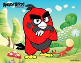 Red de Angry Birds