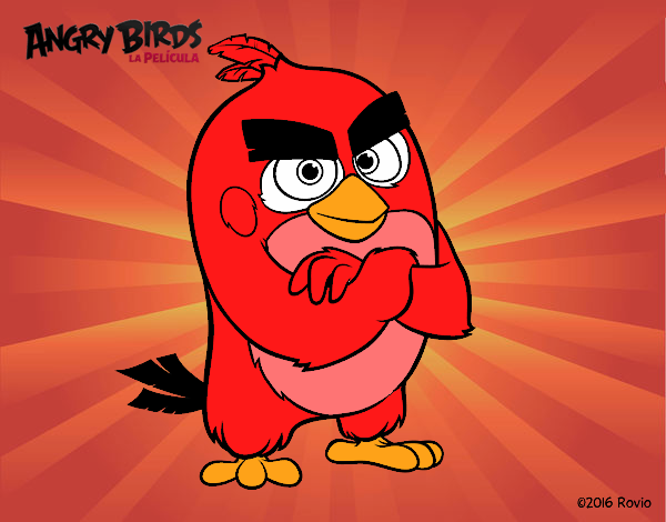 RED  ANGRY  BIRDS  2016