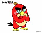 Red de Angry Birds