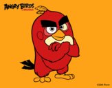 Red de Angry Birds