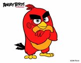 Red de Angry Birds