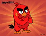 Red de Angry Birds