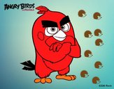 Red de Angry Birds