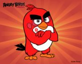 Red de Angry Birds