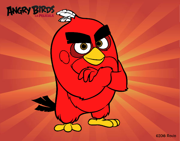 Red de Angry Birds