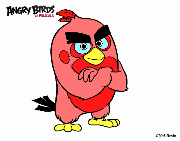 Red de Angry Birds